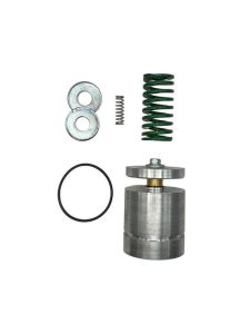 {E} Kit, Rep 2"Mpt Min Press Chk With Pi